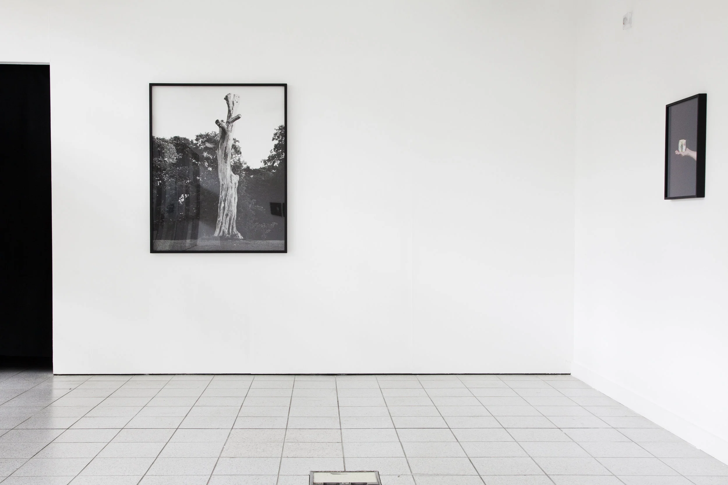 Solo Show — view 2 of 7