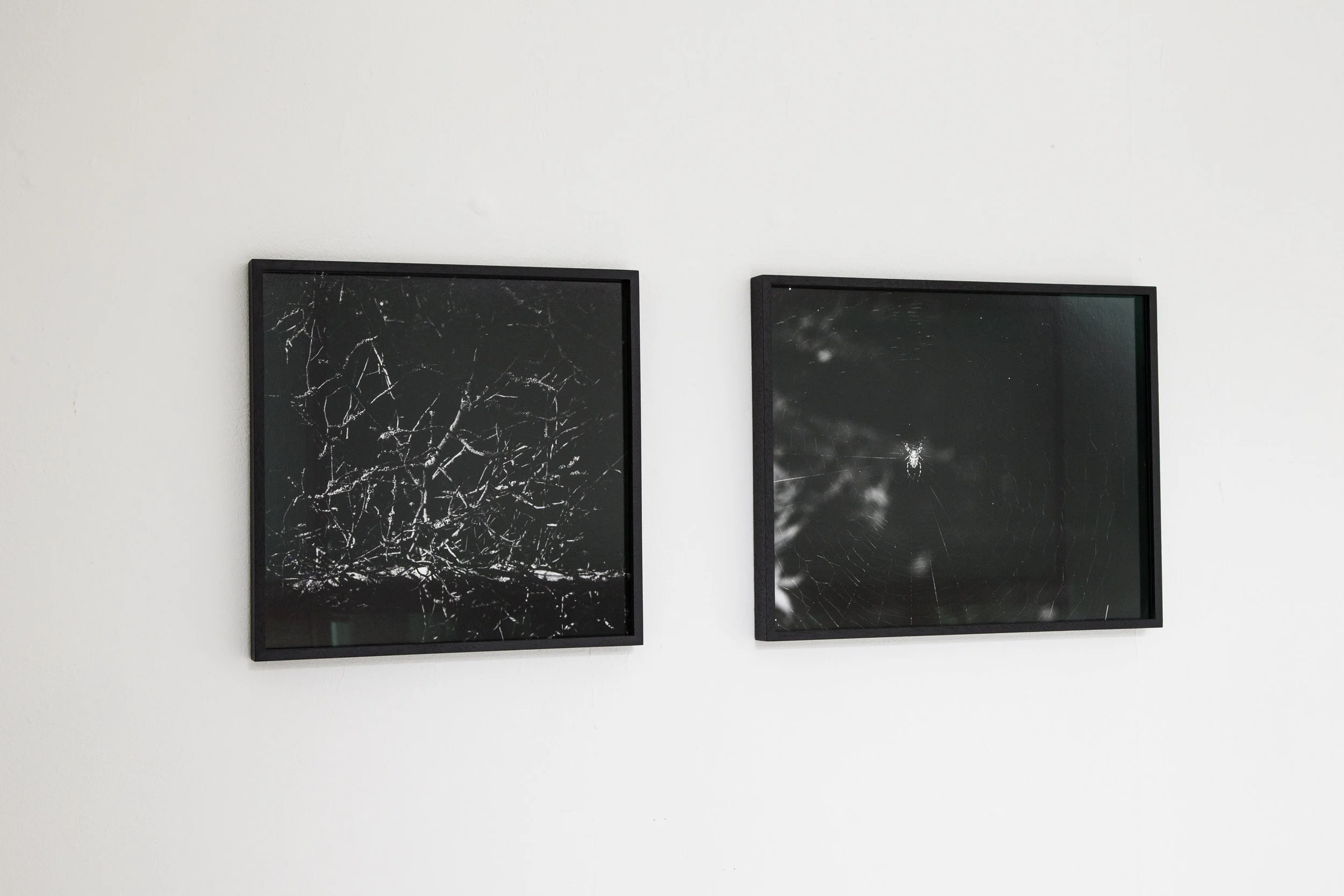 Solo Show — view 3 of 7