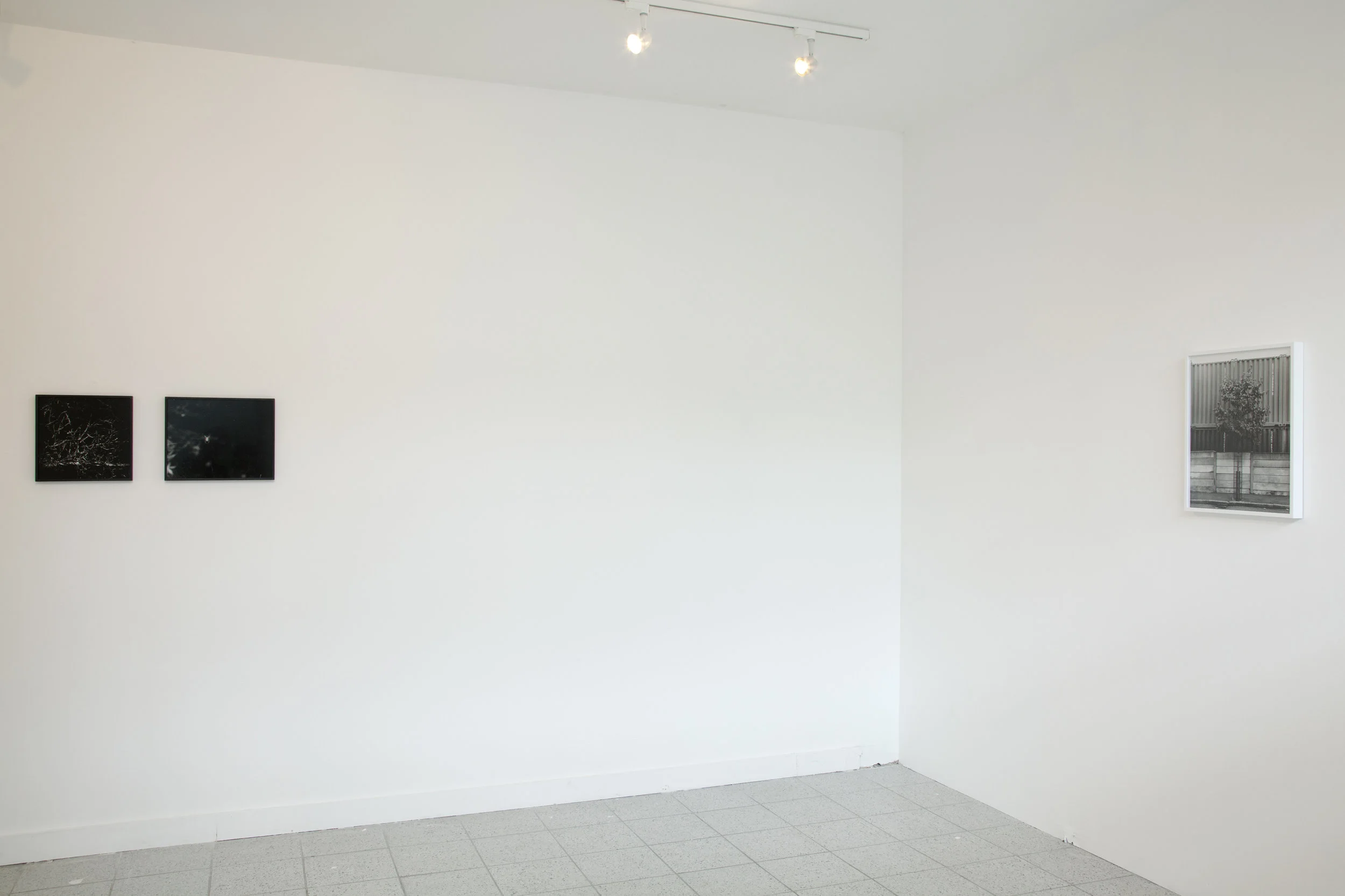 Solo Show — view 4 of 7