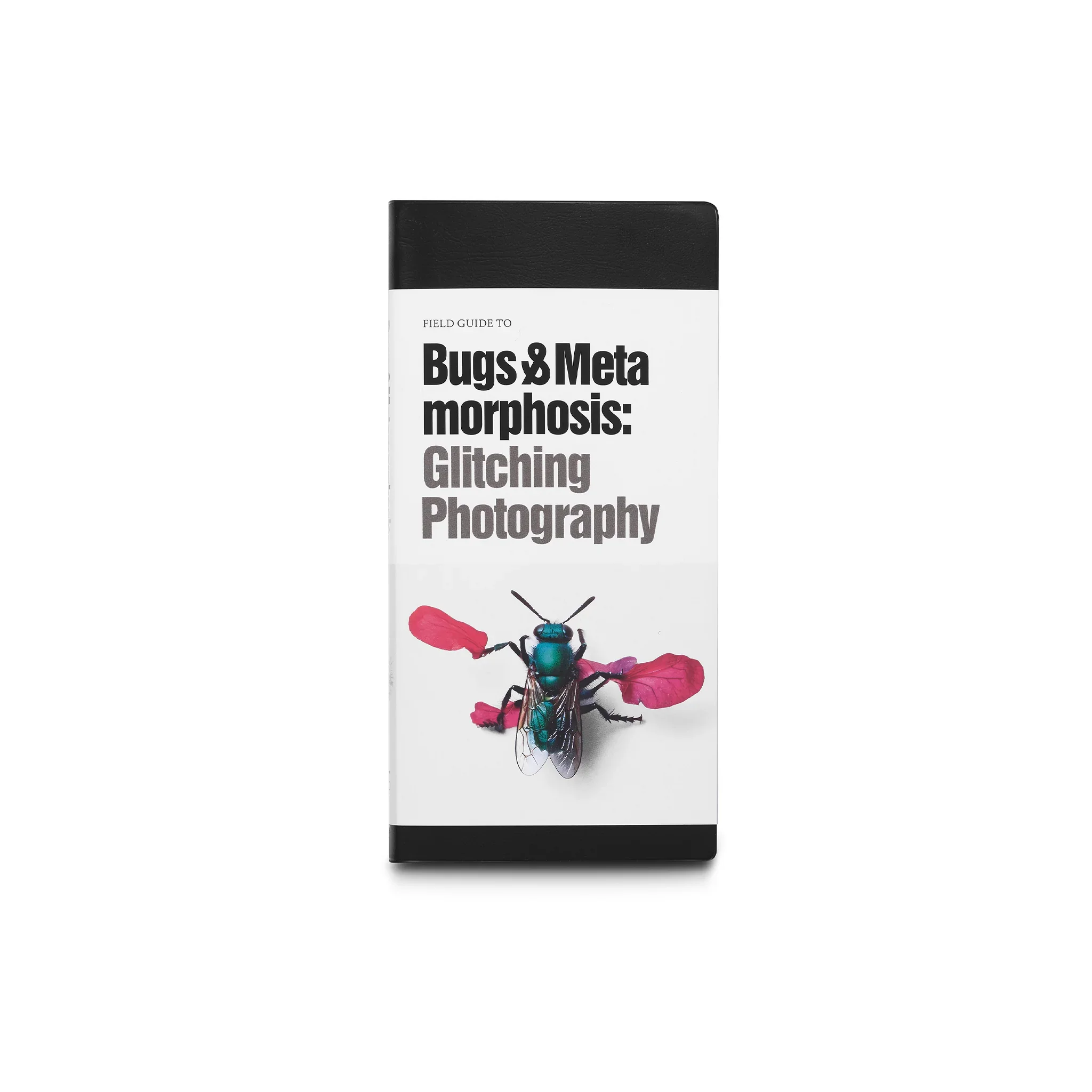 Hasselblad Center — Bugs & Metamorphosis: Glitching Photography (view 2)