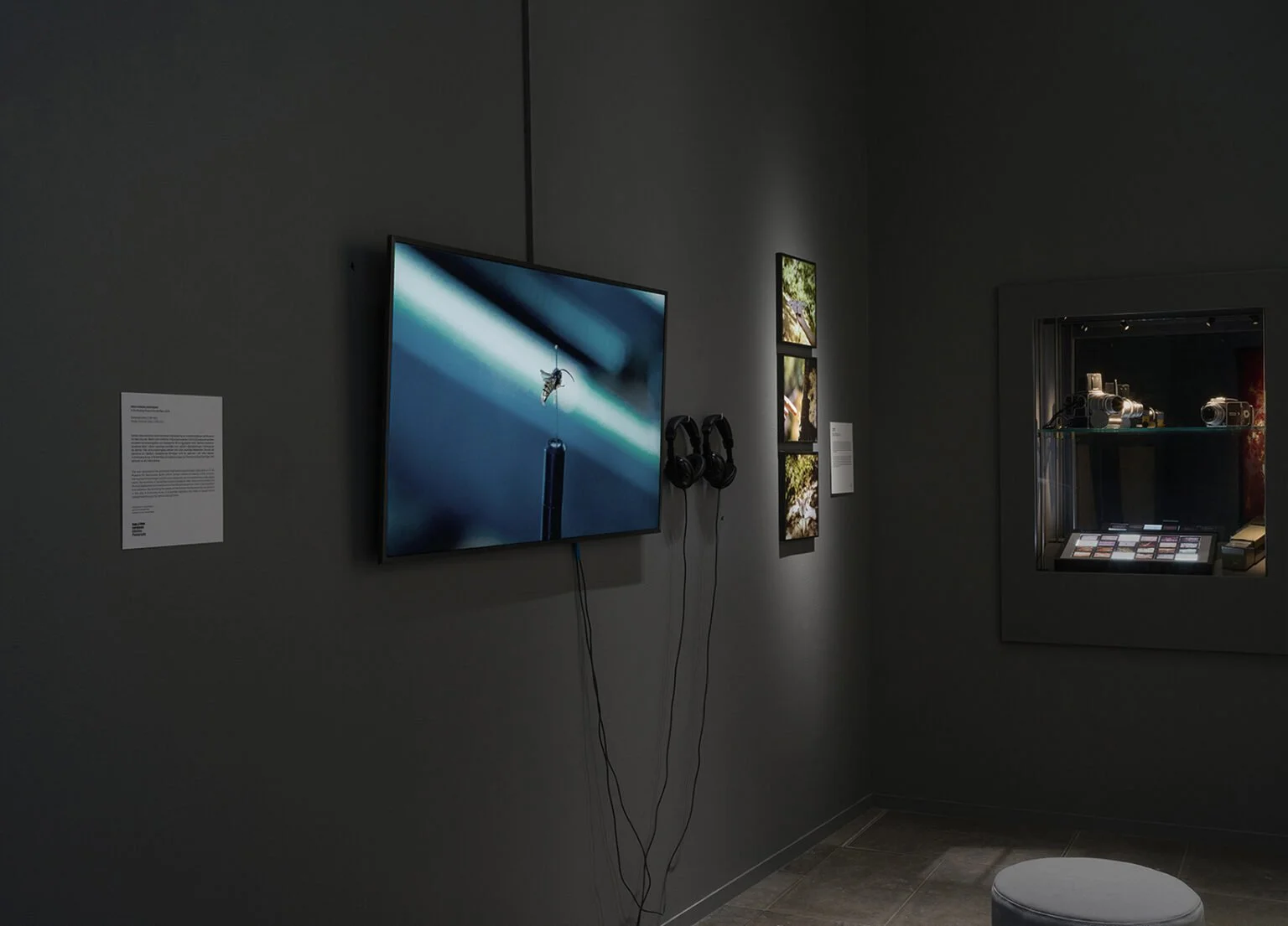 Hasselblad Center — Bugs & Metamorphosis: Glitching Photography (view 3)