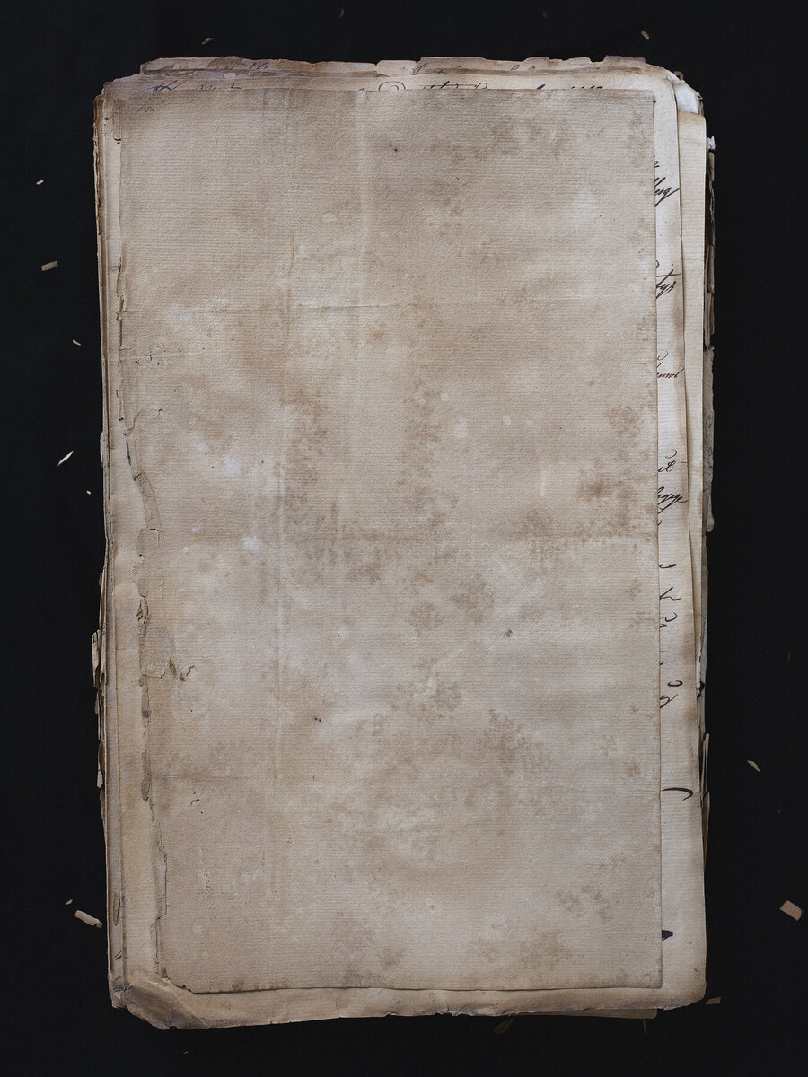 Blank Pages (Naturalisation Pages) 01