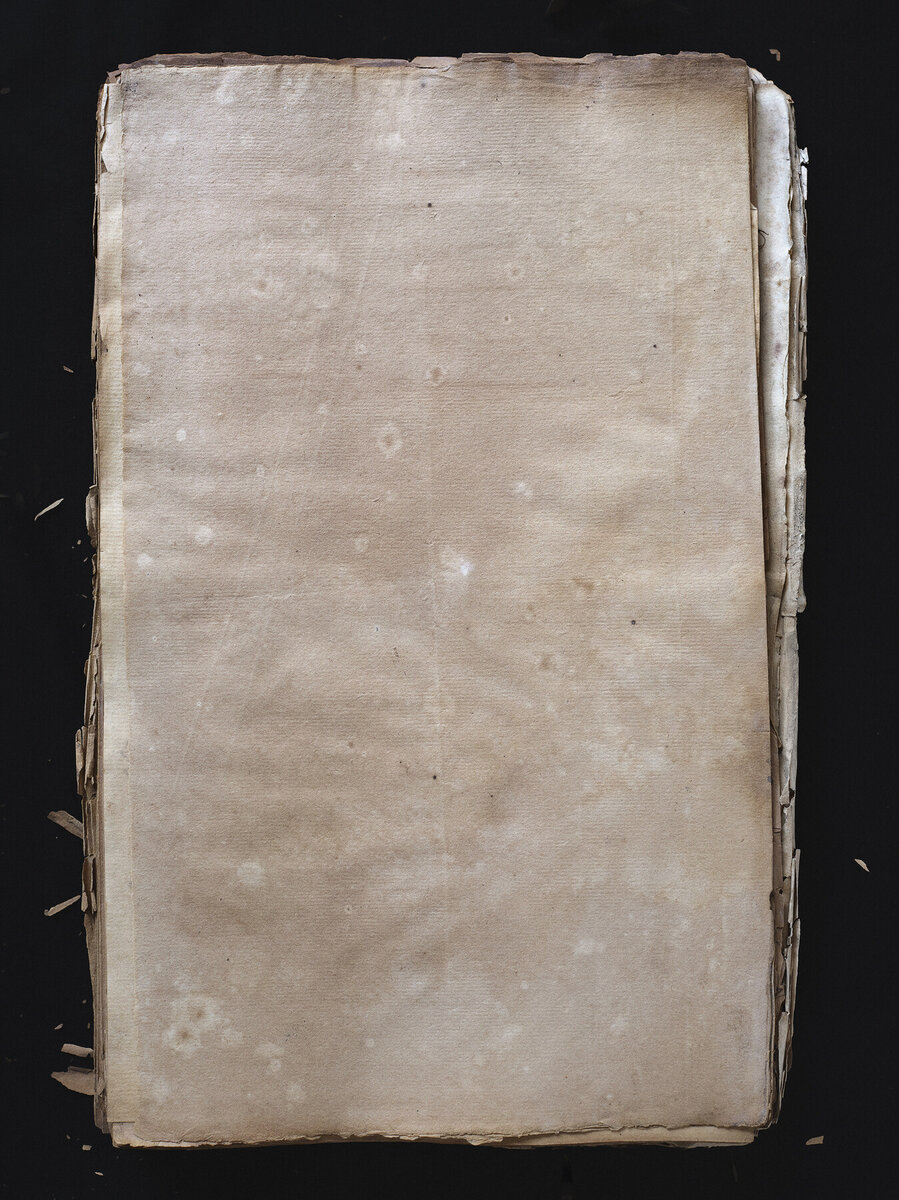 Blank Pages (Naturalisation Pages) 07