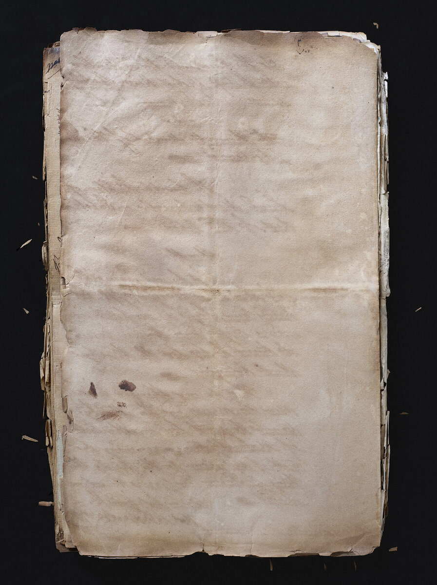 Blank Pages (Naturalisation Pages) 11