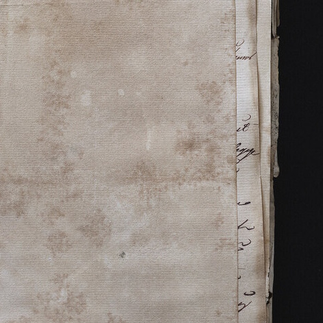 Blank Pages (Naturalisation Pages)